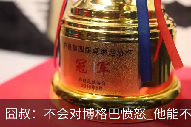 囧叔：不会对博格巴愤怒 他能不能去世界杯不关我事